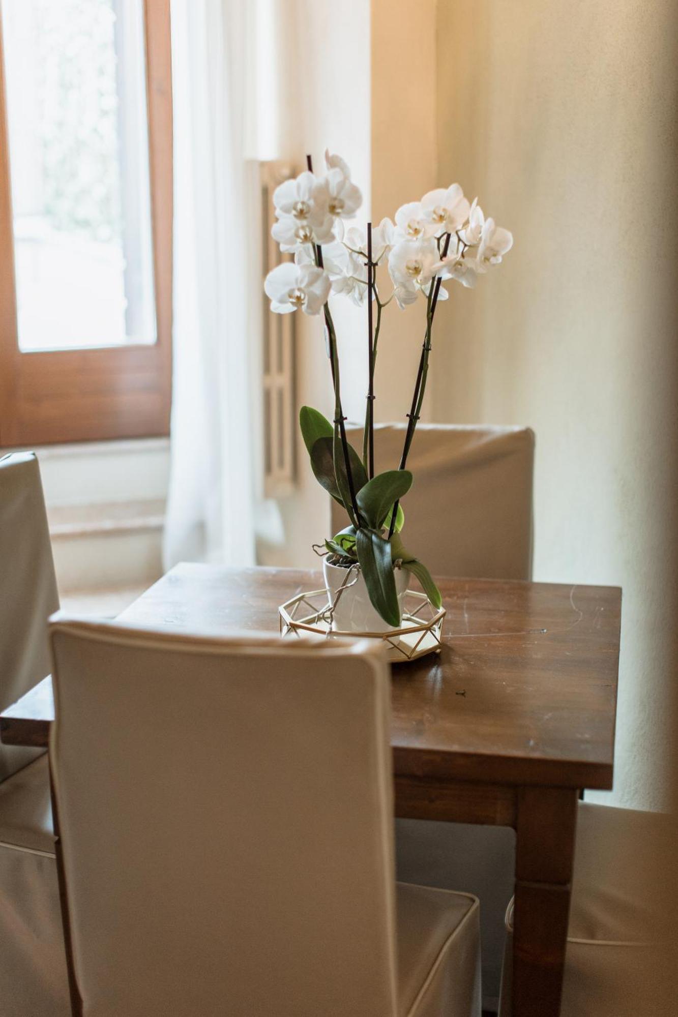 Osteria Luxury Apartments Peschiera del Garda Luaran gambar